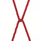 Rebellion Reign Crimson Silky Bondage Rope