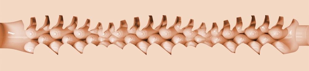 Fleshlight Fantasy Evie Akashiya Sho Akuma